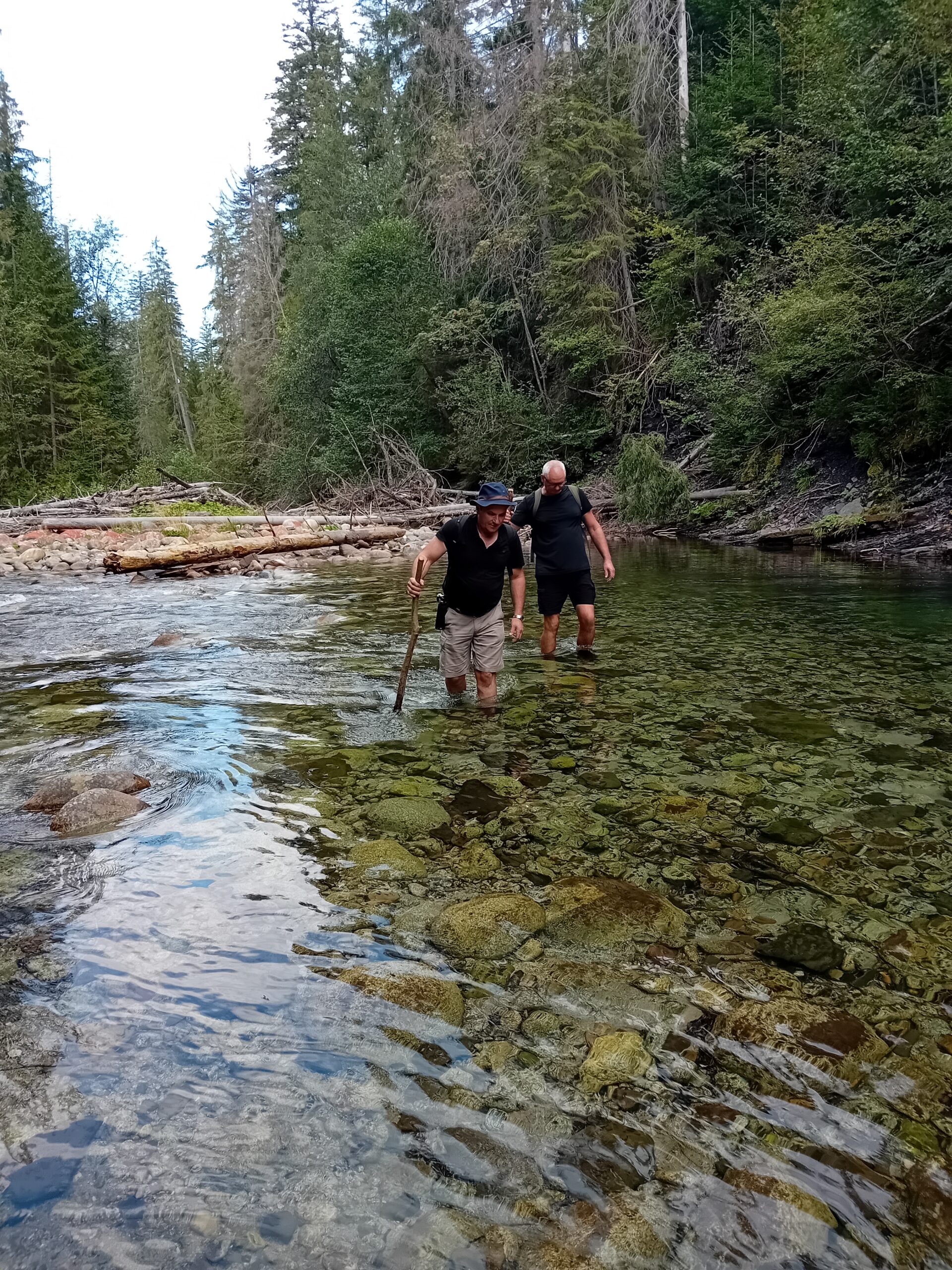 Read more about the article Letnie wspomnienia